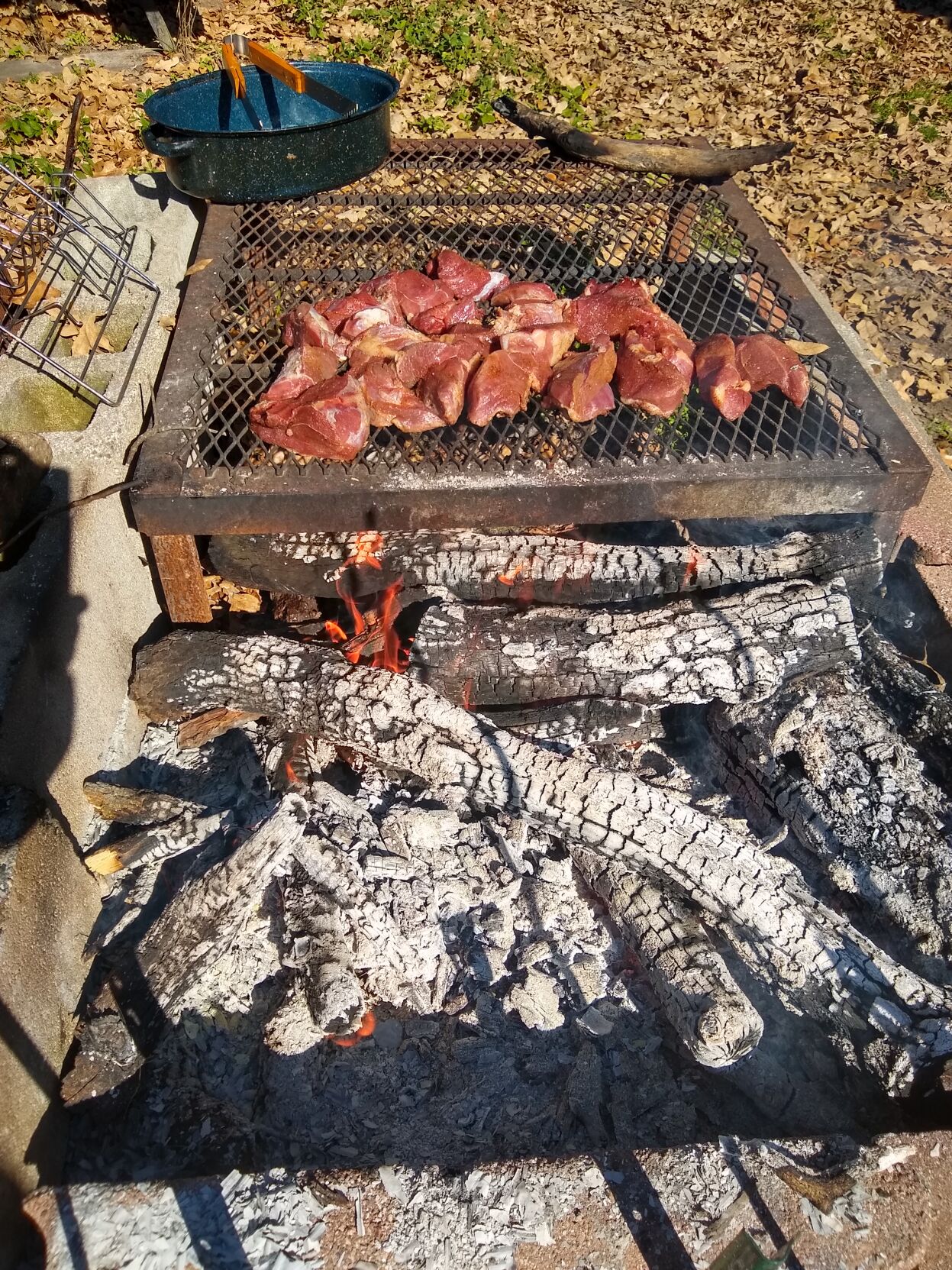 WILD PORK COOKING OVER COALS.jpg